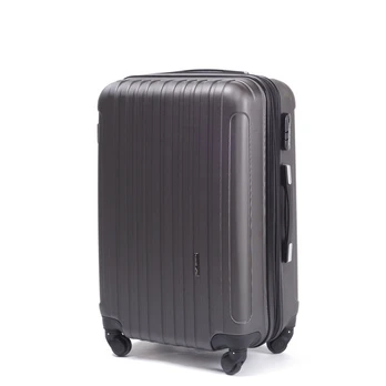 Didelis lagaminas Wings L 2011, pilkas