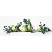 Still Life with apples SB2259 kaina