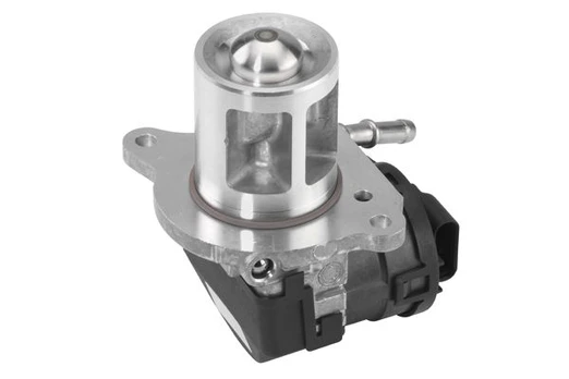 ERG vožtuvas BorgWarner (Wahler) 710095D