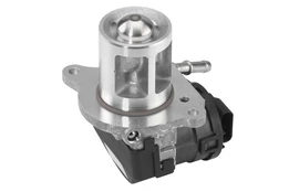 ERG vožtuvas BorgWarner (Wahler) 710095D kaina