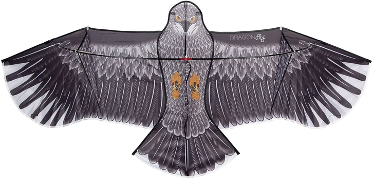 Aitvaras Dragon Fly Eagle
