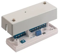 Alarmtech VD 400 vibracijos detektorius (seisminis)