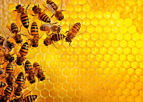 Ravensburger 1000 Puzzle Dėlionė: Bees