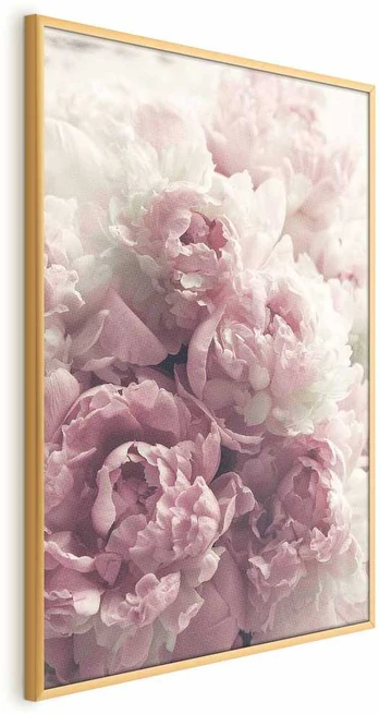 Artgeist Plakatas - Delicate Peonies