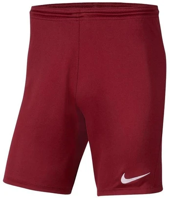 Nike Park III Knit Jr BV6865-677 Šortai