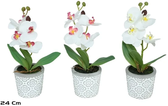 Dirbtinės orchidėjos vazone x4 – 24 cm, 10x14x24 cm, LITO