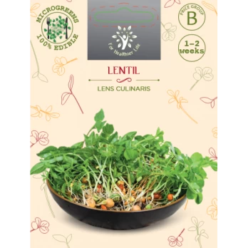 Sėklos daigams Lęšiai 10g (LENTIL)
