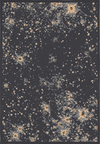 Narma kilimas Vilkla carbon 200x300 cm