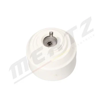 Variklio montavimas MERTZ M-S4775