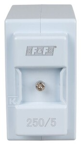 F&F VERTIMAS DABARTINĖ. TI 250/5A O22, KL.0.2S