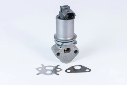 ERG vožtuvas BorgWarner (Wahler) 710771D0