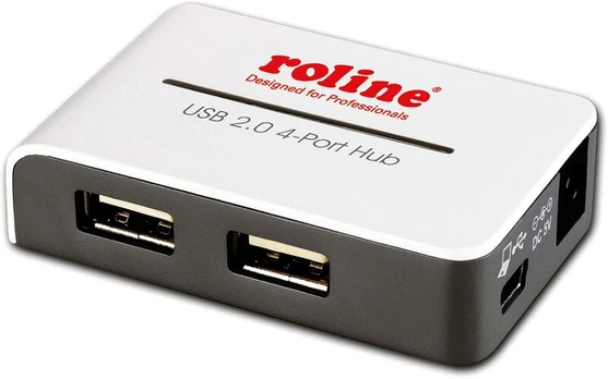 Roline 4 prievadų Usb 2.0 šakotuvas su Ps