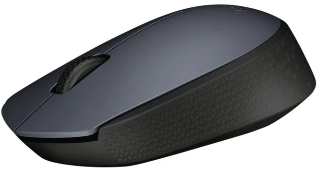 Logitech Bevielė pelė m170 belaidė pelė pilkas 910-004642