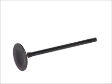 FRECCIA 4894/SNT Inlet valve kaina
