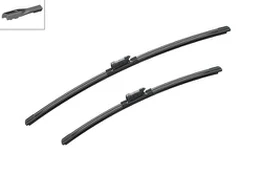 Valytuvai BOSCH 3397007620