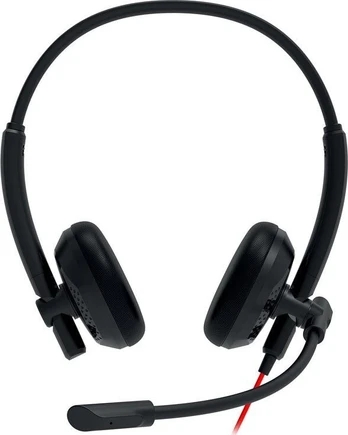 Ausinės CANYON HS-07