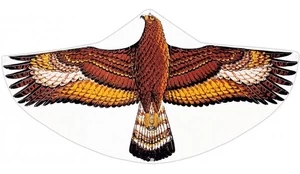 Aitvaras Gunther Steinadler kaina