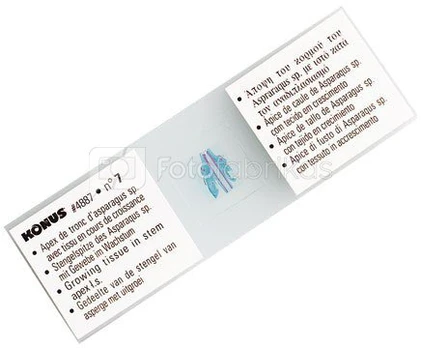 Konus Preparation Set Pathological Human Tissue 2 (10 Pcs)
