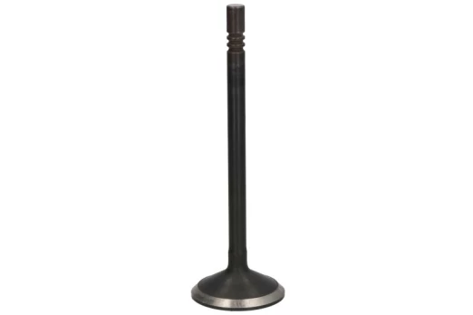 DNJ EV1105 Exhaust valve