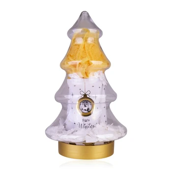 Vonios priemonių rinkinys Accentra Bath set Winter Glamour