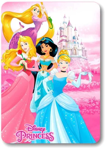 Disney Princess polar blanket