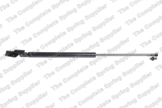 LESJOFORS LS8188311 Boot strut