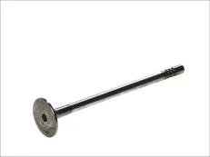 FRECCIA 6145/SCR Inlet valve kaina