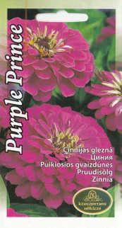 Puikiosios Gvaizdūnės Purple Prince