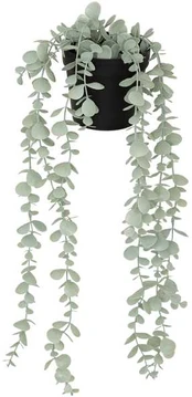 Dirbtinis eukaliptas MERLY, 51 cm