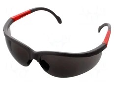 Safety spectacles | Lens: gray | Features: regulated kaina