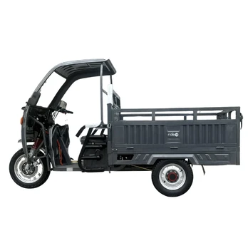 Elektrinis krovininis triratis RIDE-E BULL+ su stogu ir priekiniu stiklu (EEC) pilkas
