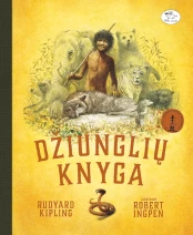 Džiunglių knyga kaina
