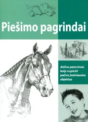 KNYGA Piešimo pagrindai kaina