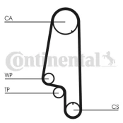 CONTI CT 846 WP4 Timing kit (belt+ pulley+ water pump) kaina