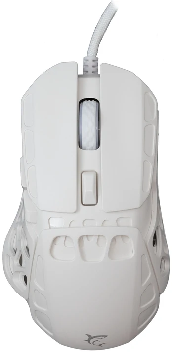 Baltasis ryklys GM-5016 Ector White