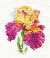 Beldizart Irisai S0-136 kaina