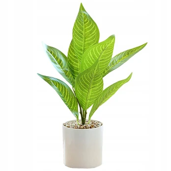 Dirbtinė Aglaonema LZ33, 34 cm
