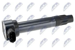 Ritė, uždegimas NTY ECZ-MS-013