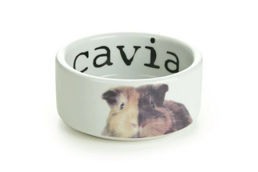 Beeztees dubuo su jūrų kiaulytės atvaizdu, 10 x 4 cm