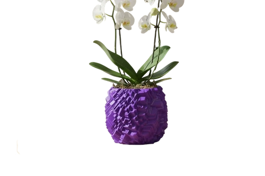Akmens tekstūros vazonas orchidėjai