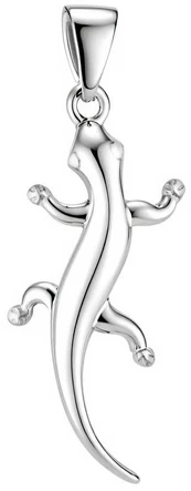 Sidabrinis pakabukas Brasco 56297