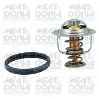 Termostatas, aušinimo skystis MEATDORIA 92438