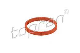 TOPRAN 109 374 Tarpiklis, įsiurbimo kolektorius