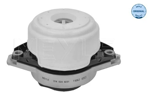 Variklio montavimas MEYLE 014 024 0231