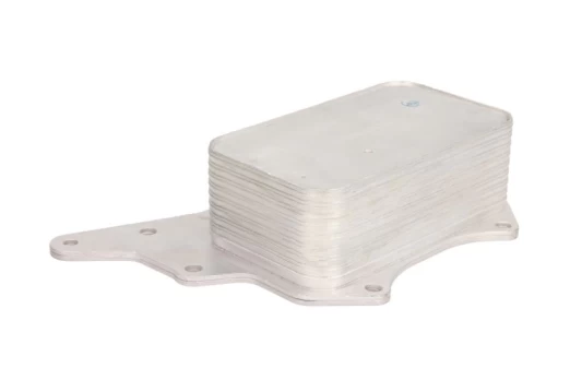 Alyvos radiatorius THERMOTEC D4R005TT