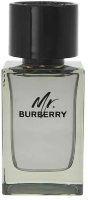 Burberry Mr. Burberry EDT 100ml kaina