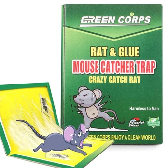 Glue trap pelė trap 24cm