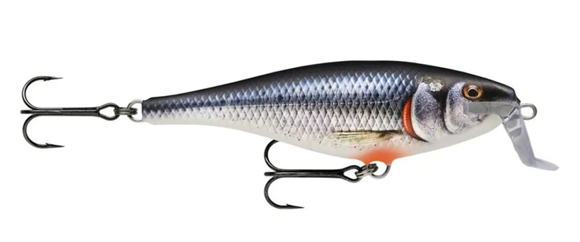 Rapala vobleris Super Shad Rap SPWR - Spawning Roach 14 cm