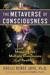 Metaverse of Consciousness kaina