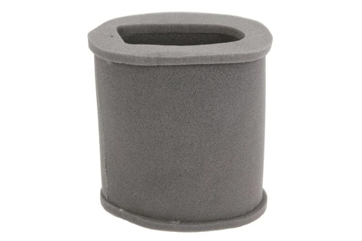 Oro filtras HIFLO HFA2202
